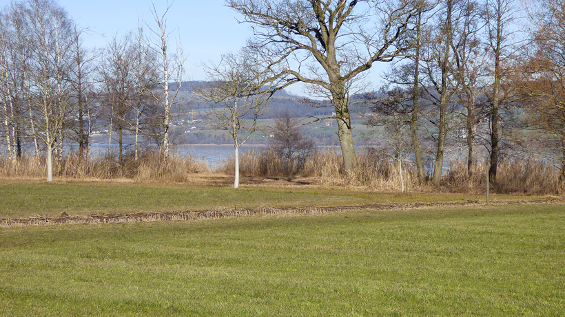 sempachersee-seeland