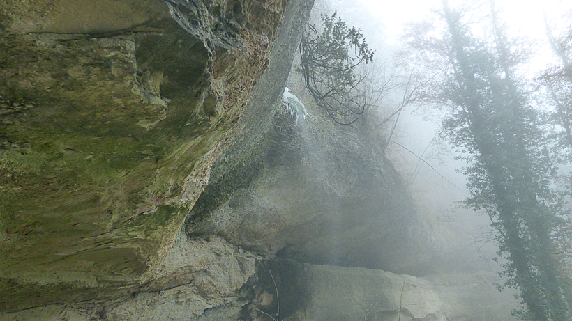 werthenstein-staeublig