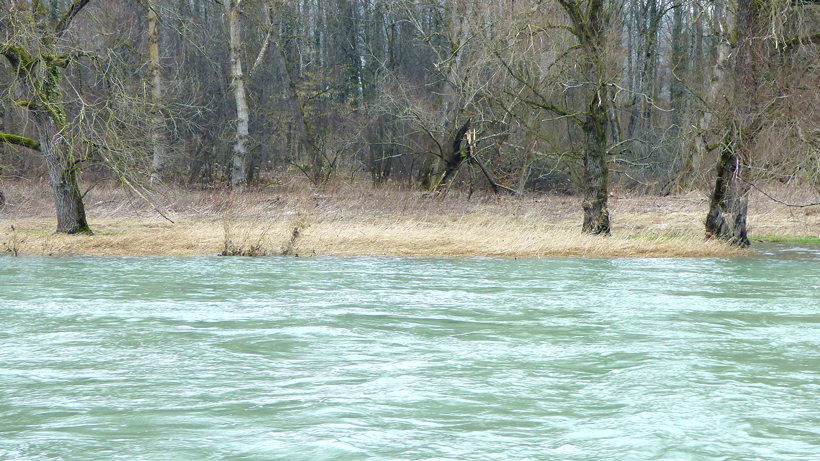 wildegg-brugg