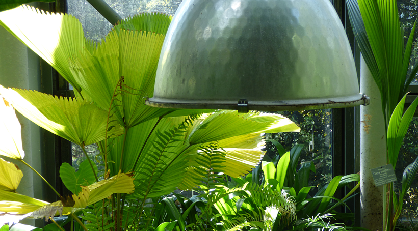 botanischer-garten-bern-04