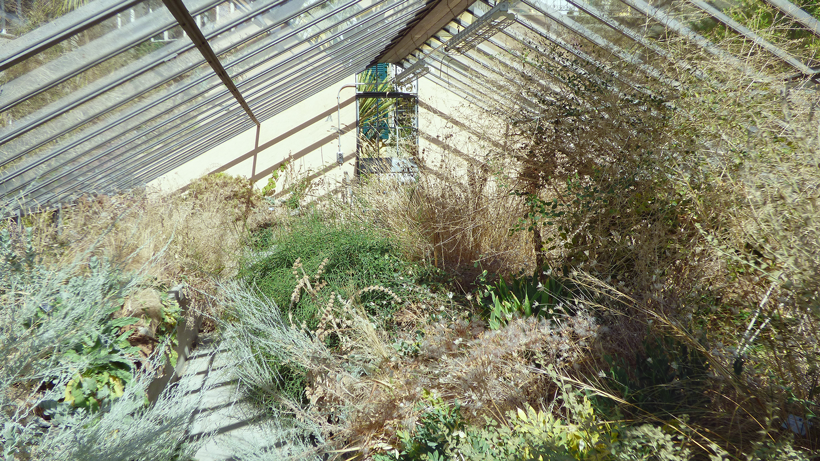 botanischer-garten-bern-06