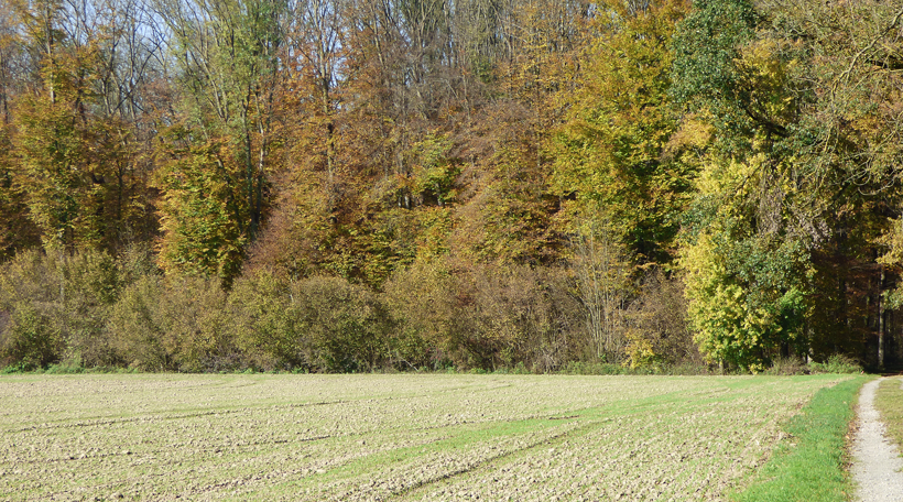 ischlag