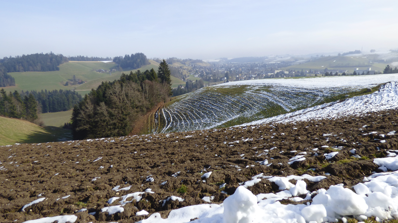 huttwil-fiechtenberg